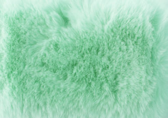 a soft fur texture in a neo mint colour.